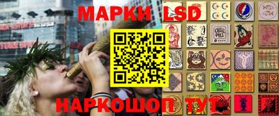 шишки Лесосибирск