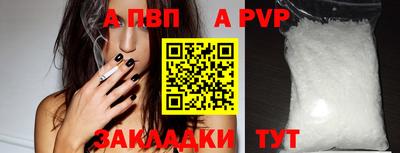 шишки Лесосибирск