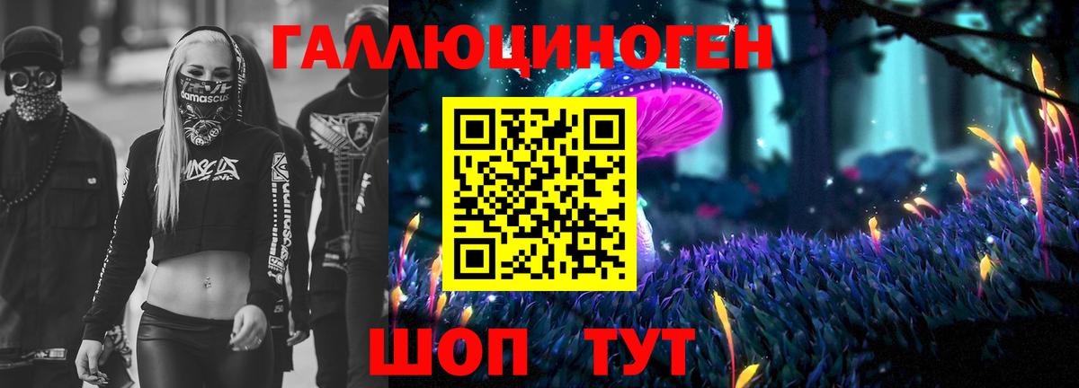 закладка  Галлюциногенные грибы GOLDEN TEACHER  Вход с VPN  Азов 