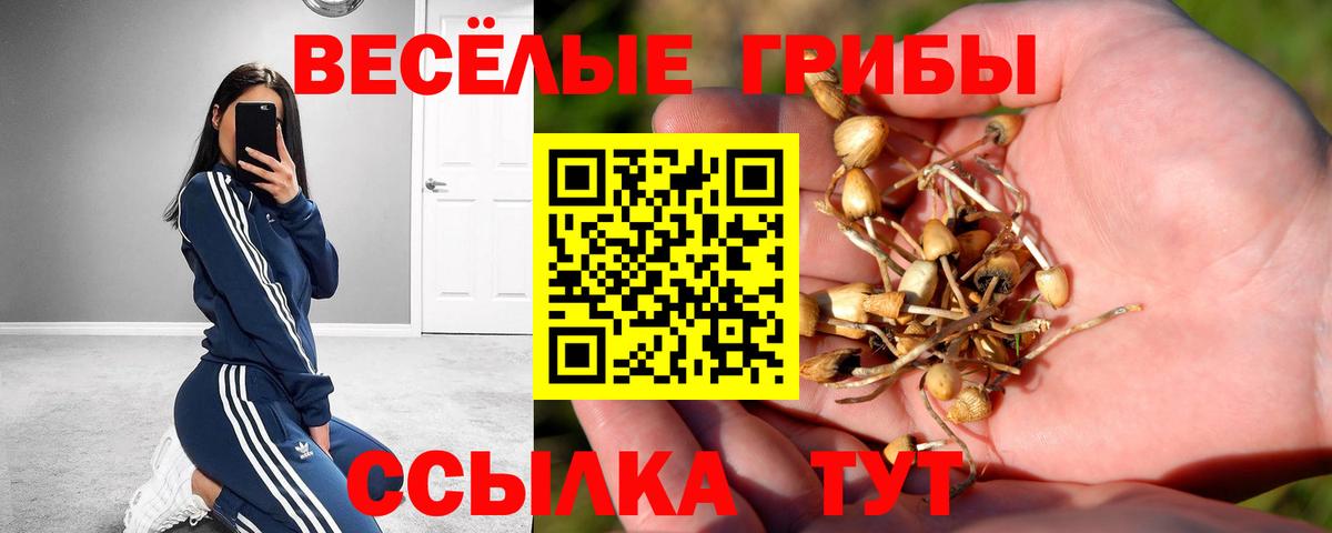 Псилоцибиновые грибы мицелий Азов